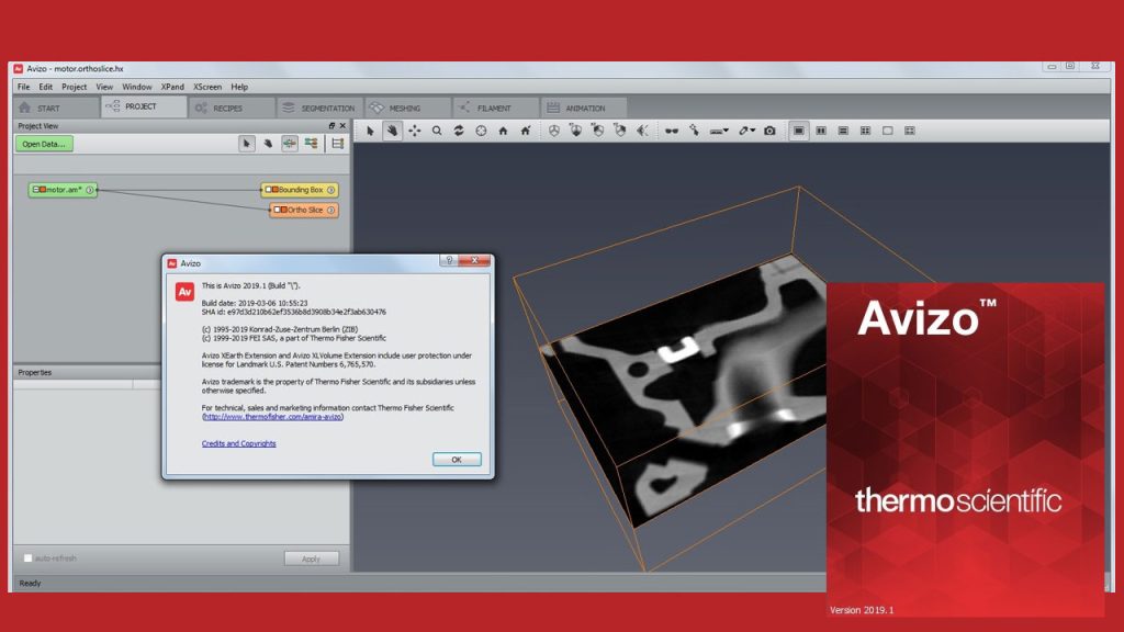 Thermo Sientific AVIZO Crack